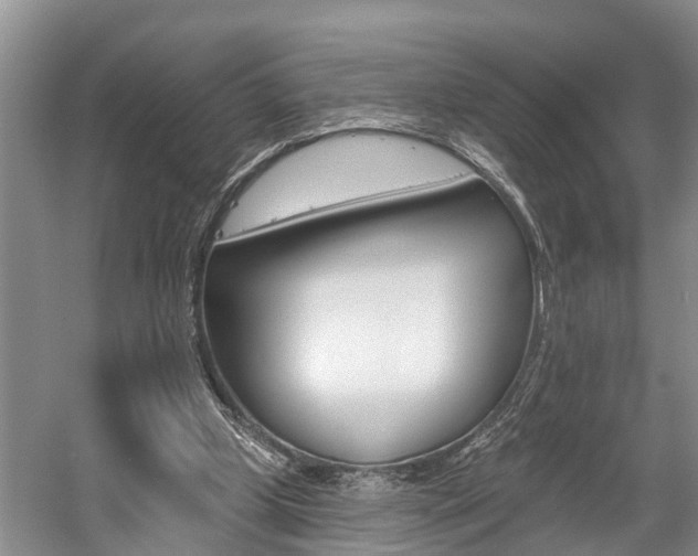X0000058810249200509300948
