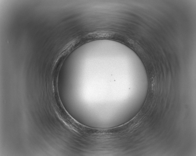 X0000058810254200509300948