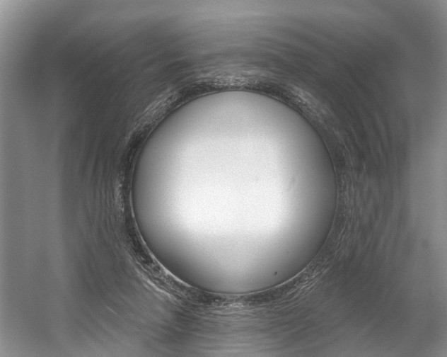 X0000058810258200509300948
