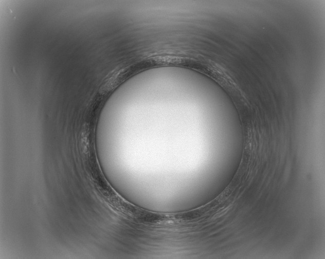 X0000058810259200509300948