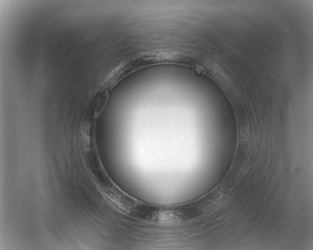 X0000058810264200509300948
