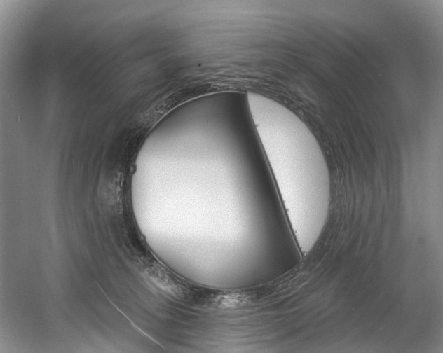 X0000058810275200509300948