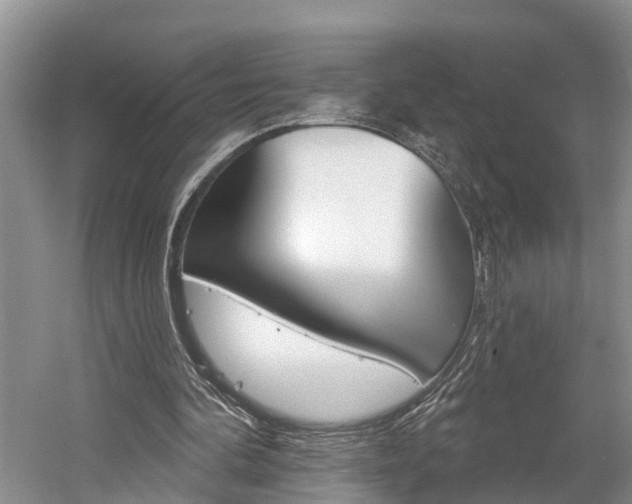 X0000058810292200509300947