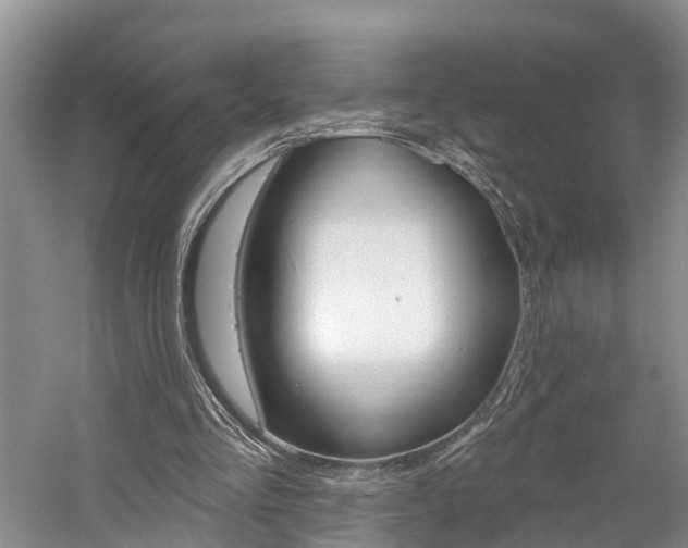 X0000058810293200509300947