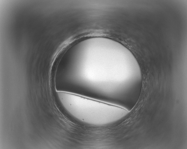 X0000058810296200509300947