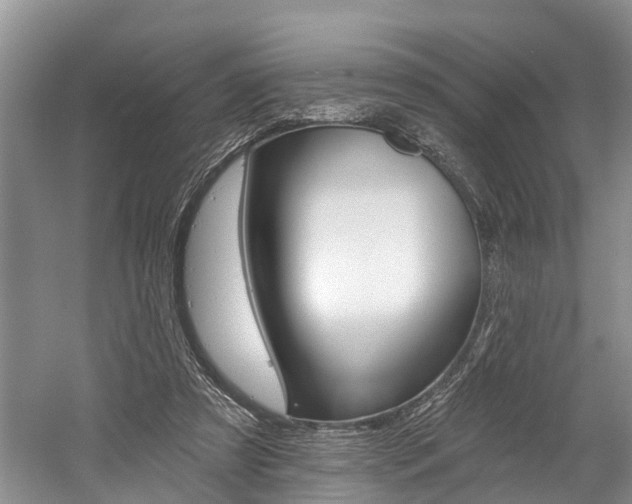 X0000058810305200509300947