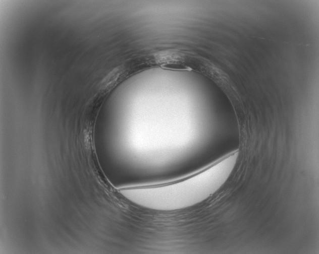 X0000058810329200509300947