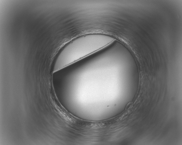 X0000058810345200509300946