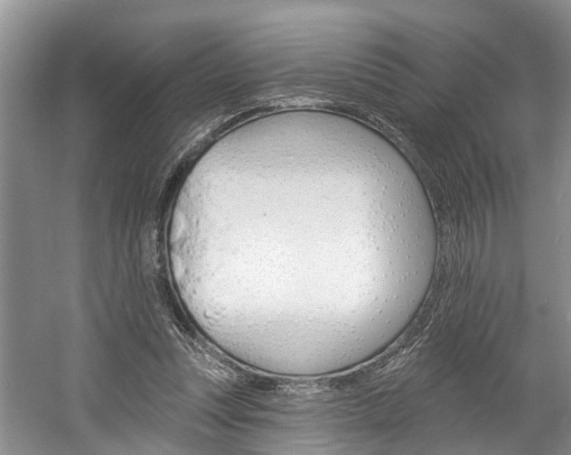 X0000058810351200509300946