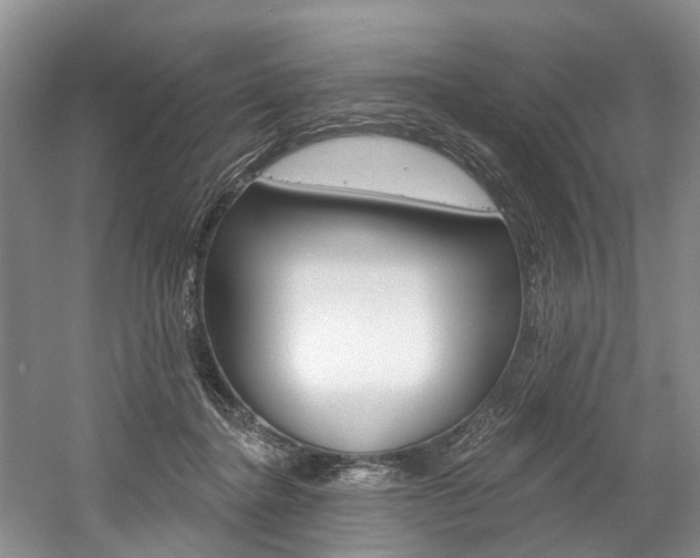 X0000058810364200509300946