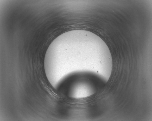 X0000058810380200509300946