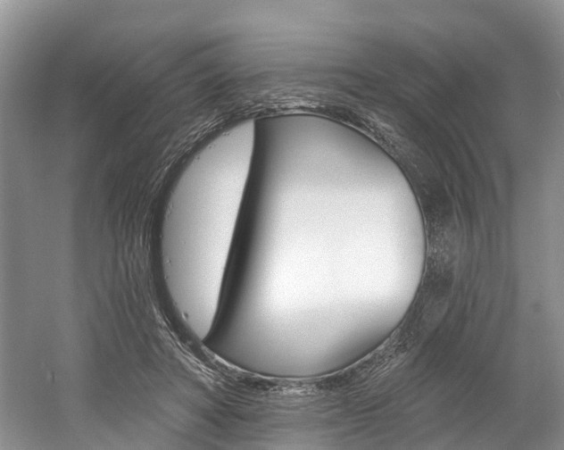 X0000058810402200509300945