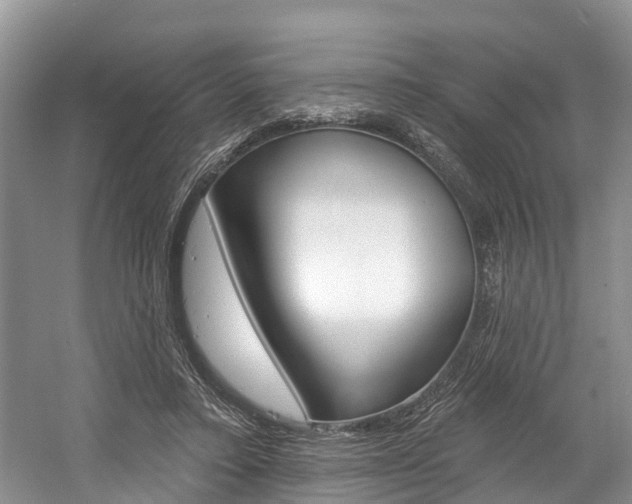 X0000058810403200509300945