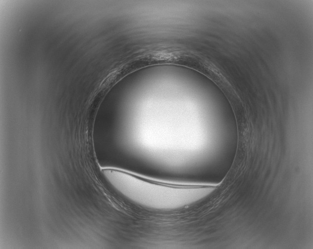 X0000058810407200509300945