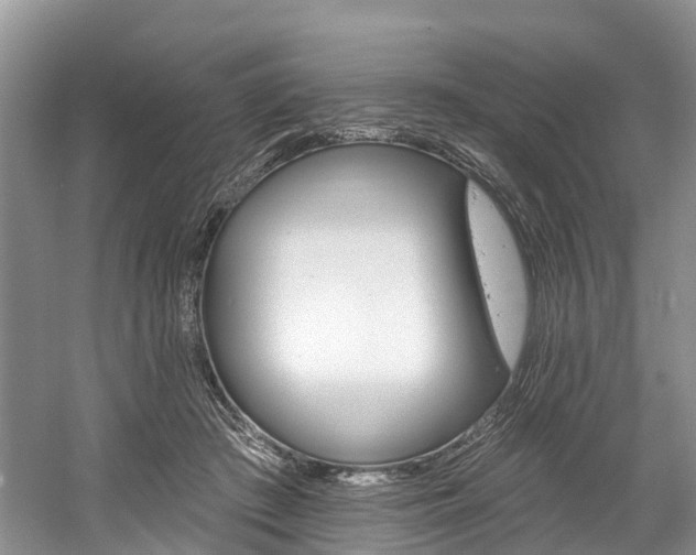 X0000058810409200509300945
