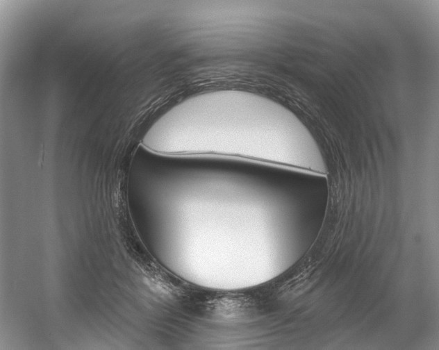X0000058810412200509300945