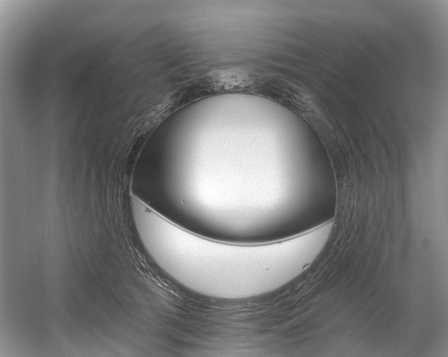 X0000058810417200509300945