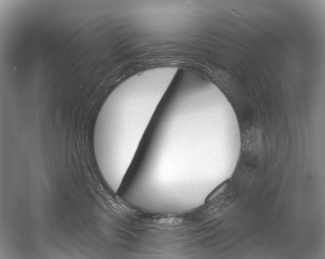X0000058810426200509300945
