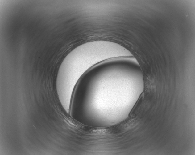 X0000058810428200509300945