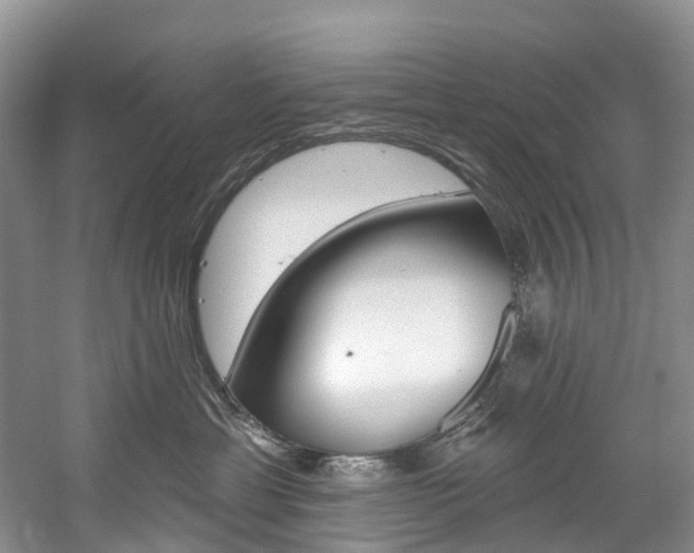 X0000058810429200509300945