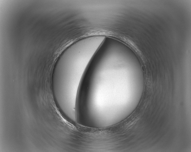 X0000058810433200509300944