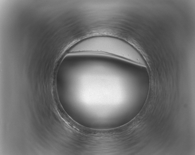 X0000058810434200509300944