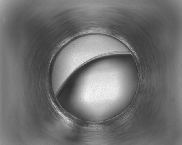 X0000058810437200509300944