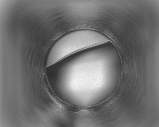 X0000058810441200509300944