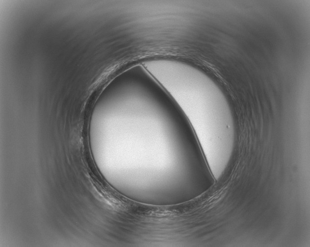 X0000058810443200509300944