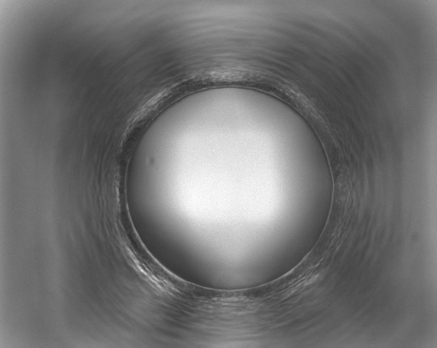 X0000058810446200509300944