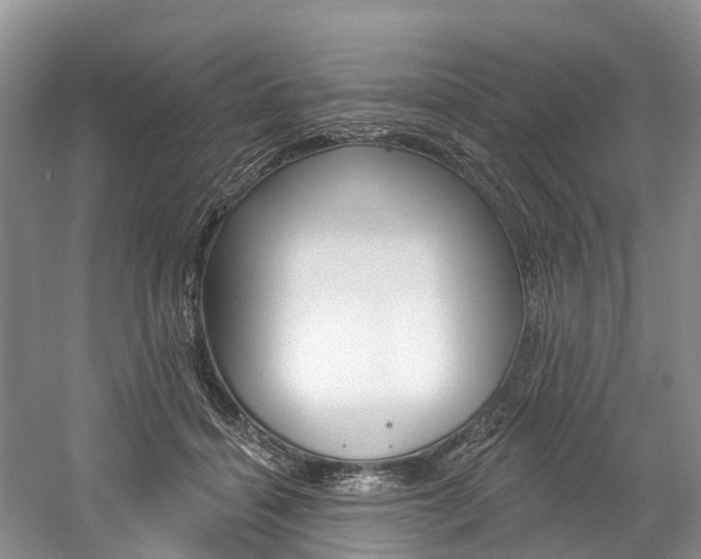 X0000058810460200509300945