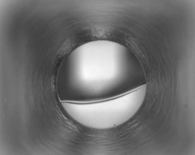 X0000058810466200509300945