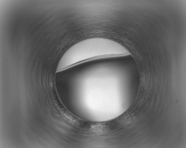 X0000058810470200509300945