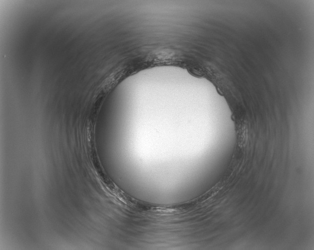 X0000058810472200509300945
