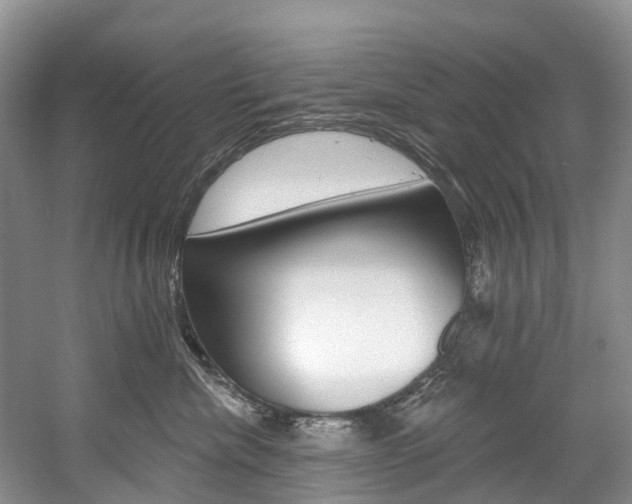 X0000058810476200509300945