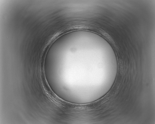 X0000058810482200509300944