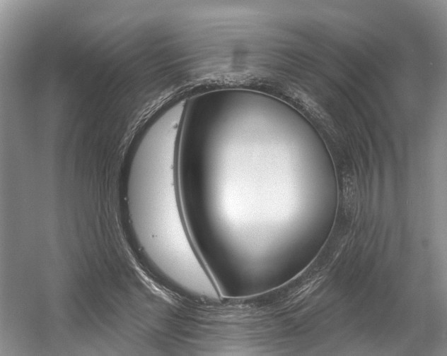 X0000058810493200509300944