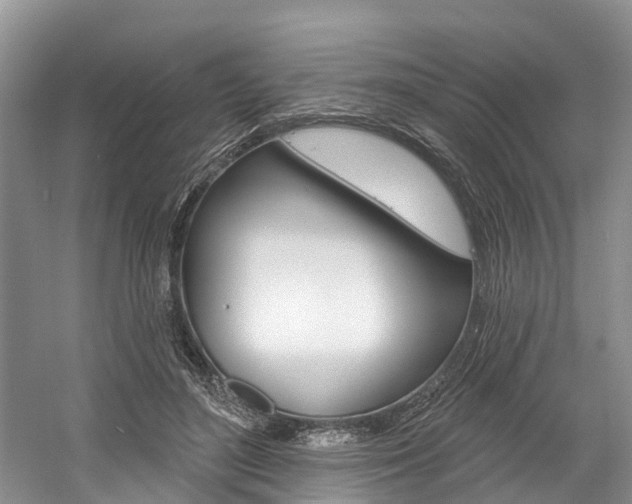 X0000058810500200509300944