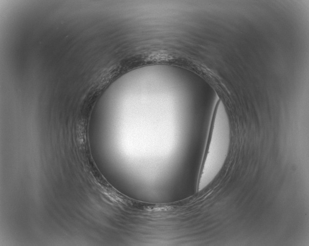 X0000058810517200509300943