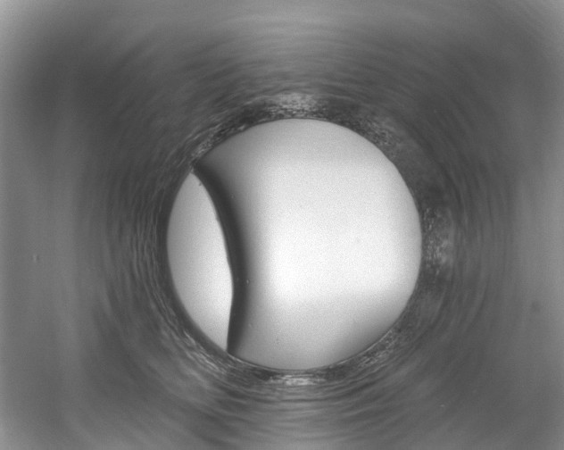 X0000058810518200509300943