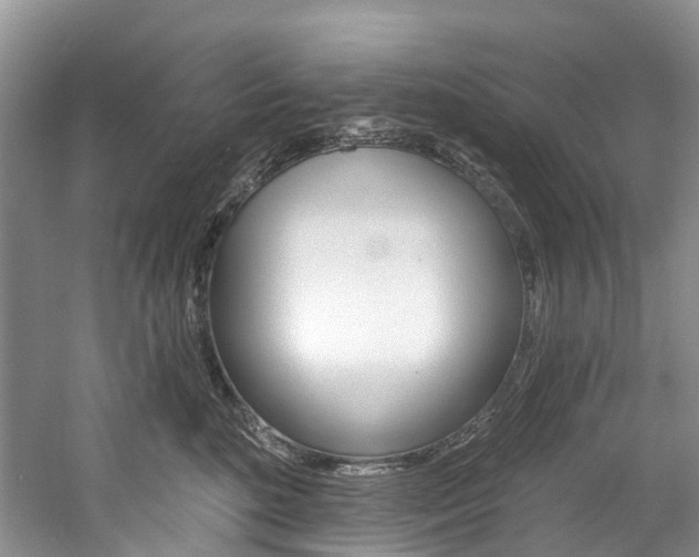 X0000058810520200509300943