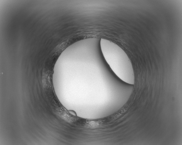 X0000058810522200509300943