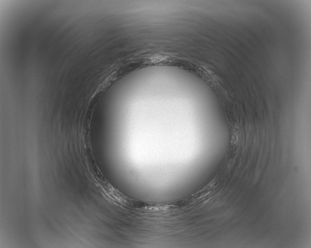X0000058810524200509300943