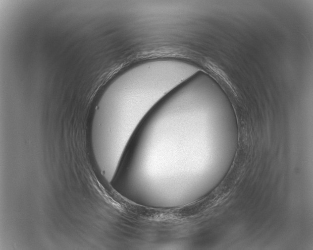 X0000058810537200509300943
