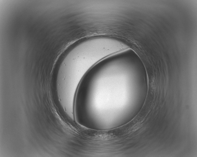 X0000058810540200509300943