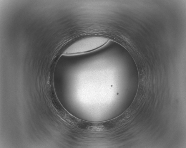 X0000058810548200509300943