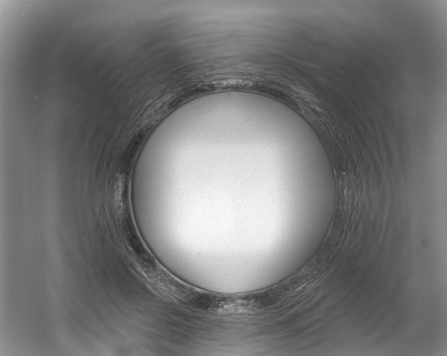 X0000058810550200509300943
