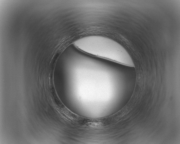 X0000058810552200509300943