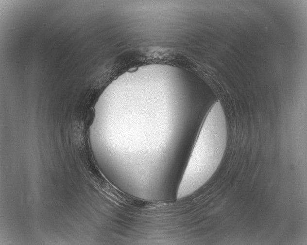 X0000058810563200509300943