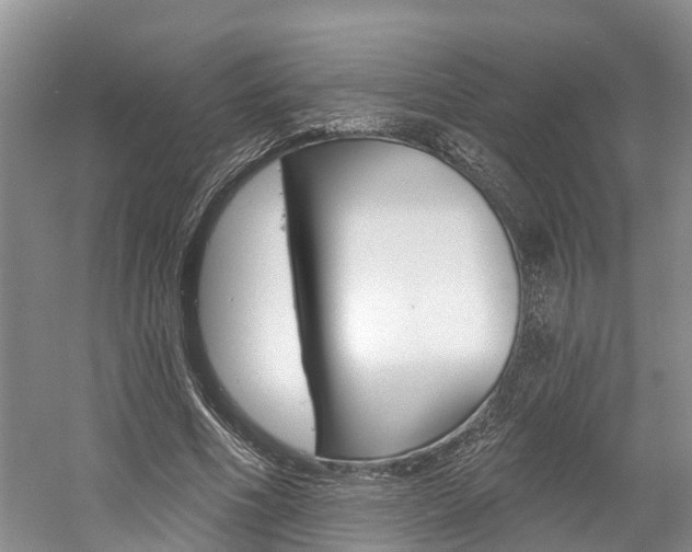 X0000058810586200509300942